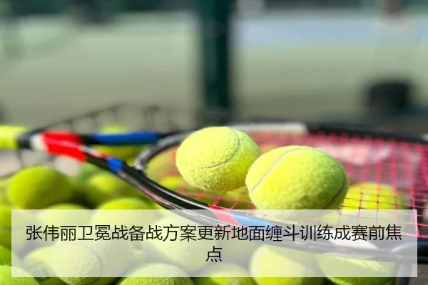 张伟丽卫冕战备战方案更新地面缠斗训练成赛前焦点